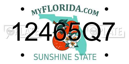 12465Q7 Florida License Plate