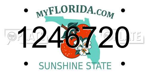 1246720 Florida License Plate