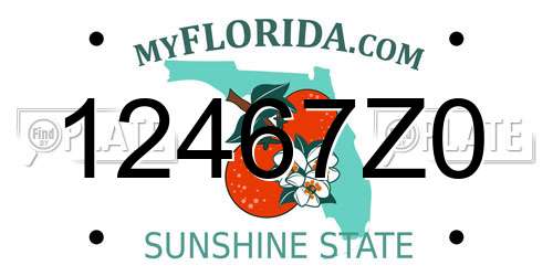 12467Z0 Florida License Plate