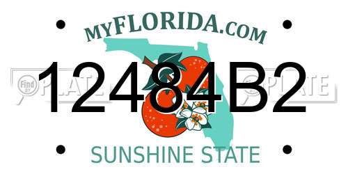 12484B2 Florida License Plate