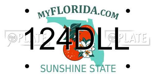 124DLL Florida License Plate