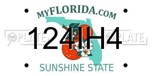 124IH4 Florida License Plate