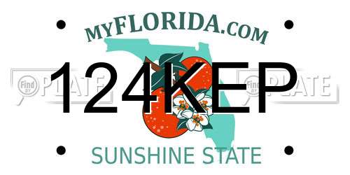 124KEP Florida License Plate