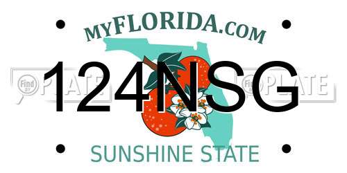 124NSG Florida License Plate