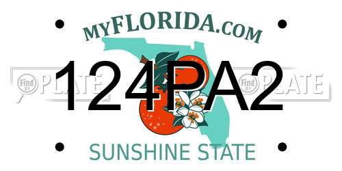 124PA2 Florida License Plate