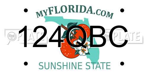 124QBC Florida License Plate