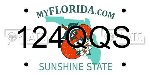 124QQS Florida License Plate
