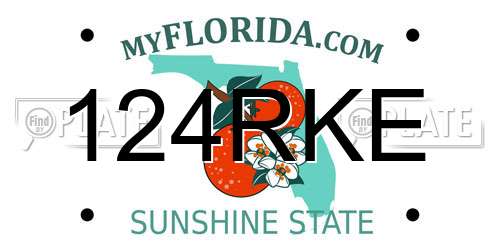 124RKE Florida License Plate