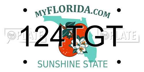 124TGT Florida License Plate