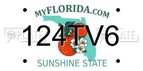 124TV6 Florida License Plate