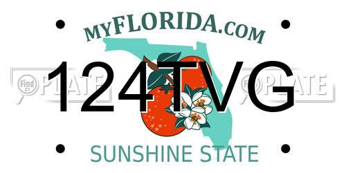 124TVG Florida License Plate