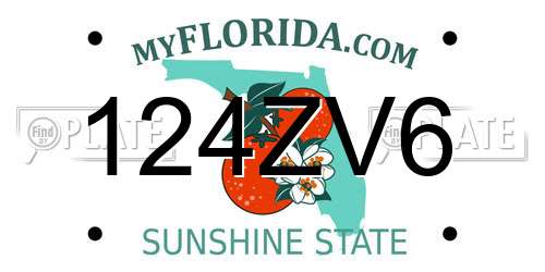 124ZV6 Florida License Plate
