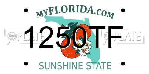 1250TF Florida License Plate