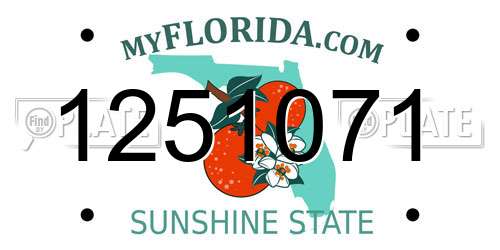 1251071 Florida License Plate