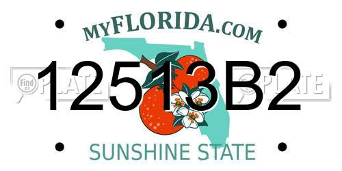 12513B2 Florida License Plate