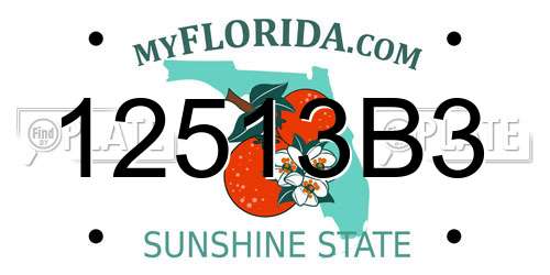 12513B3 Florida License Plate