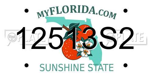 12513S2 Florida License Plate