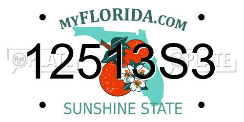 12513S3 Florida License Plate