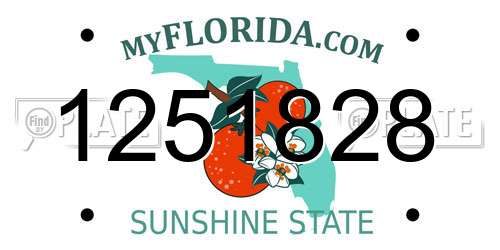 1251828 Florida License Plate