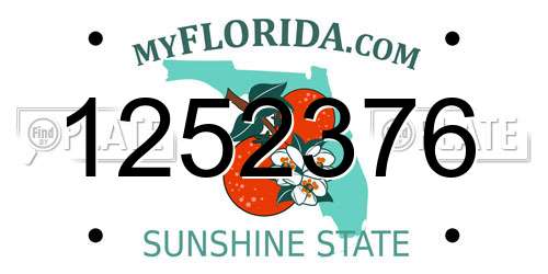 1252376 Florida License Plate