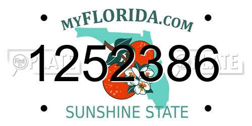 1252386 Florida License Plate