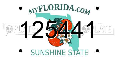 125441 Florida License Plate
