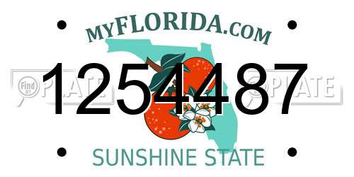 1254487 Florida License Plate
