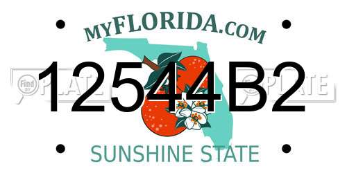 12544B2 Florida License Plate