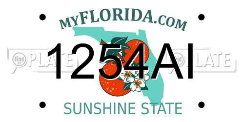 1254AI Florida License Plate