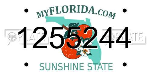 1255244 Florida License Plate