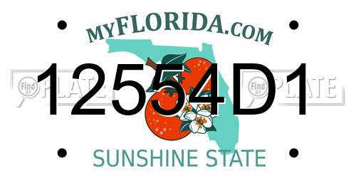 12554D1 Florida License Plate
