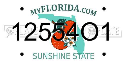 12554O1 Florida License Plate