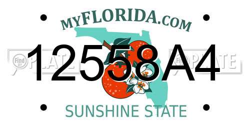 12558A4 Florida License Plate