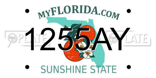1255AY Florida License Plate