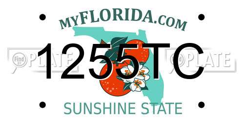 1255TC Florida License Plate