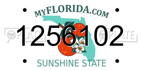 1256102 Florida License Plate