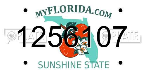 1256107 Florida License Plate