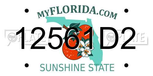12561D2 Florida License Plate