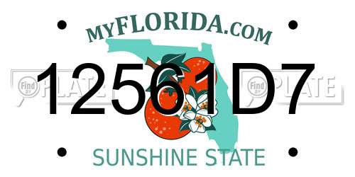 12561D7 Florida License Plate