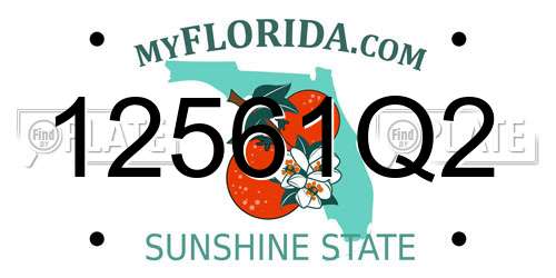 12561Q2 Florida License Plate