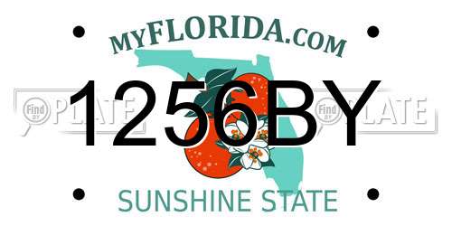 1256BY Florida License Plate