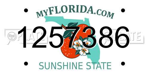 1257386 Florida License Plate