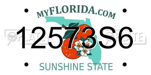 12573S6 Florida License Plate