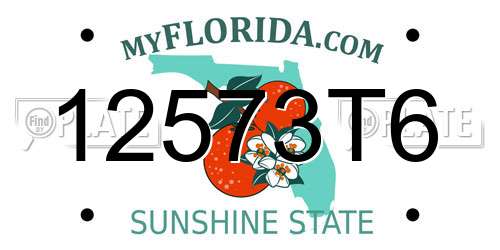 12573T6 Florida License Plate