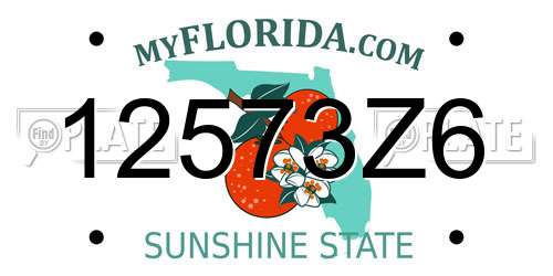 12573Z6 Florida License Plate