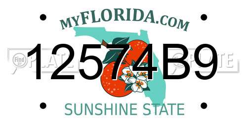 12574B9 Florida License Plate