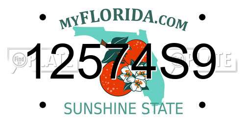 12574S9 Florida License Plate