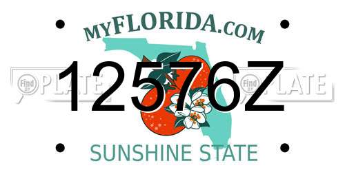 12576Z Florida License Plate