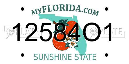 12584O1 Florida License Plate
