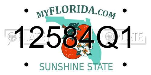 12584Q1 Florida License Plate